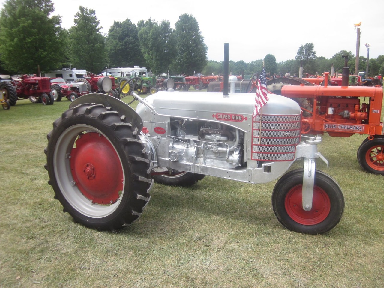 Silver King 371 